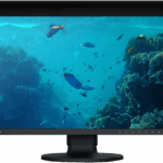 Eizo Coloredge Cg2400sv