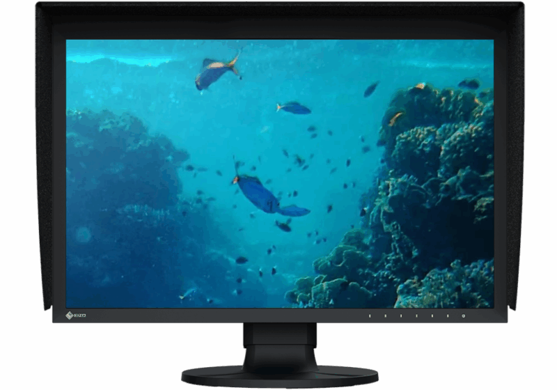 Eizo Coloredge Cg2400sv